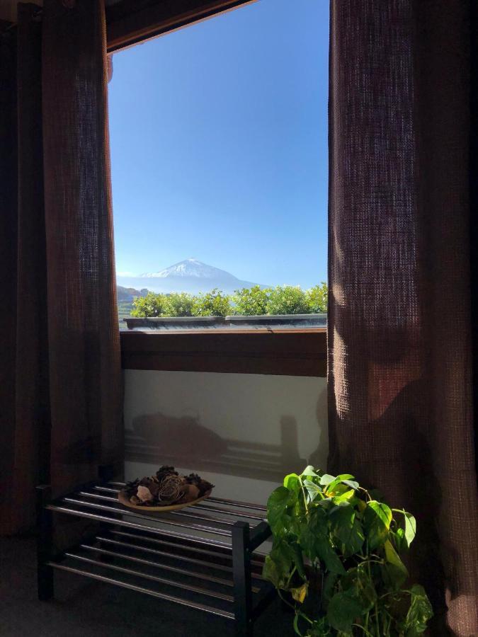 Apartamento Maudes De Starapstenerife サウサル エクステリア 写真